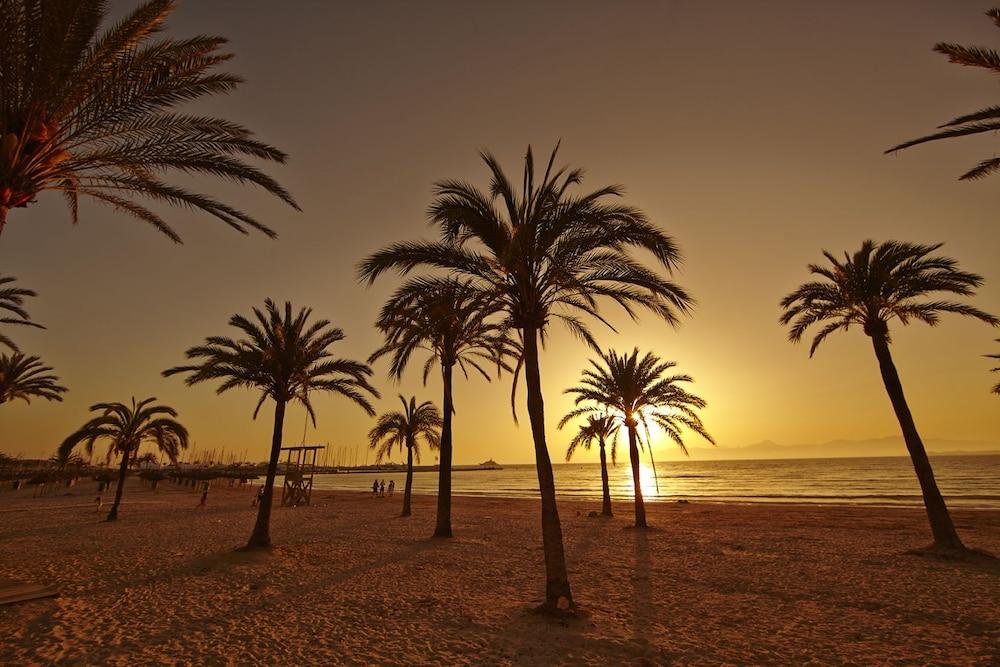 Отель Sahara Nubia Gobi Ses Cadenes Экстерьер фото Palm trees on the beach at sunset